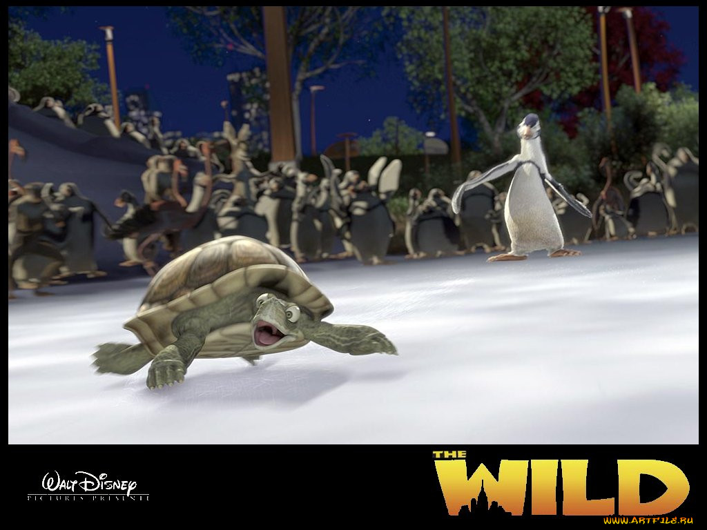 , the, wild